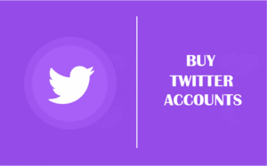 Buy Twitter Accounts 3